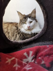 WhatsApp Image 2020-06-24 at 14.55.55.jpeg