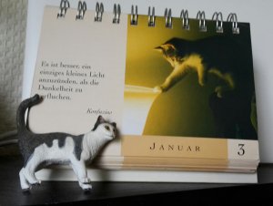 2020-07-03 14.02.35(1).jpg