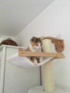 WhatsApp Image 2020-07-08 at 13.54.30.jpeg WhatsApp Image 2020-07-08 at 13.54.30.jpeg