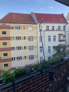 Balkonnetz.jpg