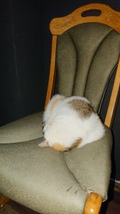 15945562823608779454479595736262.jpg 15945562823608779454479595736262.jpg