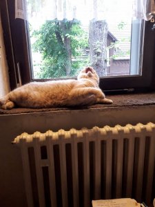 20200717_113124 (1).jpg