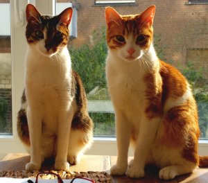 2018-05-31 08.24.46.jpg