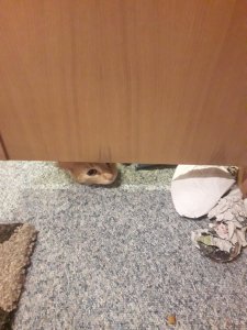 20181105_230110 (1).jpg