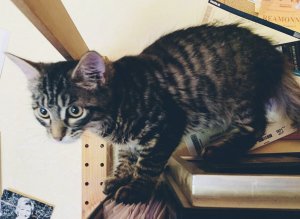 79FBAAB6-B9C0-465F-BB3D-3749F2656695.jpeg 79FBAAB6-B9C0-465F-BB3D-3749F2656695.jpeg