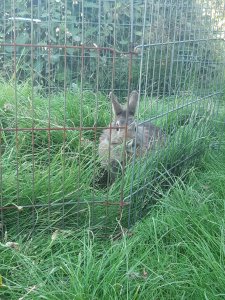 20200806_162430.jpg 20200806_162430.jpg