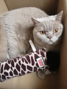 IMG_20200806_073709.jpg IMG_20200806_073709.jpg