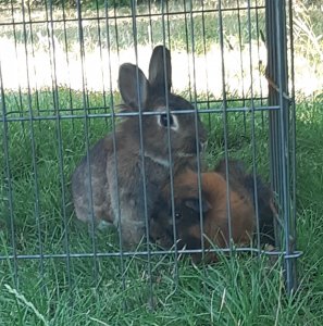 20200806_170044.jpg 20200806_170044.jpg