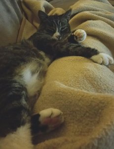 2017-09-26 23.14.34.jpg