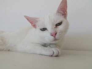 20200806_144238 (1).jpg