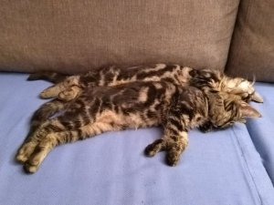 So was trennt man nicht!.jpg