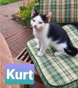 Kurt.PNG