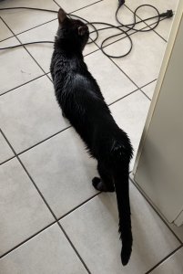 2970BFB2-360F-4B53-B91B-27BD2E339DBA.jpeg 2970BFB2-360F-4B53-B91B-27BD2E339DBA.jpeg