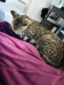 IMG_20200907_193732.jpg IMG_20200907_193732.jpg