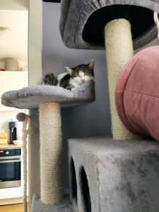 IMG_20200907_193713.jpg IMG_20200907_193713.jpg