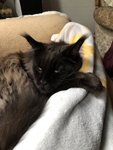 IMG_4816.jpeg IMG_4816.jpeg