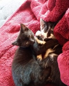 20200919_094705.jpg 20200919_094705.jpg