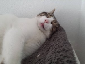 20200924_163003 (1).jpg