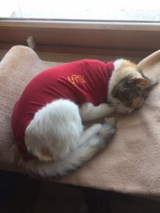 02.10.2020, 13.36 h.JPG