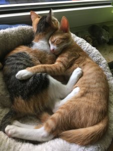 IMG_2630.JPG IMG_2630.JPG