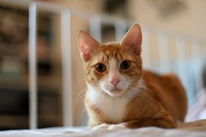 SK1_2072.JPG SK1_2072.JPG