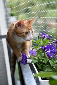 SK1_2272.JPG SK1_2272.JPG