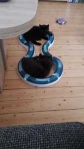 WhatsApp Image 2018-07-13 at 21.23.06.jpeg