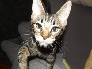 Bein hochklettern.jpg