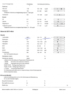 28.07.2020 Teil 2.PNG