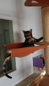 20201103_075953.jpg 20201103_075953.jpg