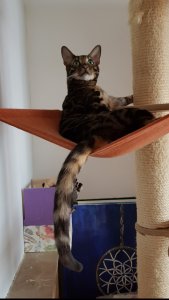 20201103_075926.jpg 20201103_075926.jpg