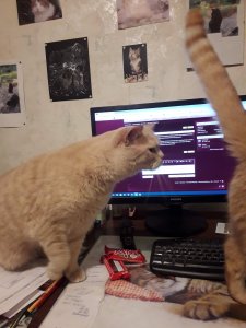 Eau de Sherlock 1.jpg