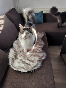 WhatsApp Image 2020-11-04 at 14.59.45.jpeg