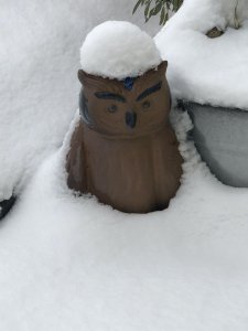 IMG_5427.jpeg IMG_5427.jpeg