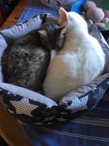 44F47D5B-488B-4087-878E-140047B1B2F0.jpeg 44F47D5B-488B-4087-878E-140047B1B2F0.jpeg