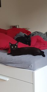 Snapchat-1035330205.jpg Snapchat-1035330205.jpg