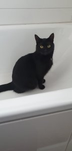 20201019_100929.jpg 20201019_100929.jpg