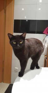 Snapchat-1431267919.jpg Snapchat-1431267919.jpg