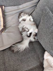 IMG_20201216_123623.jpg IMG_20201216_123623.jpg