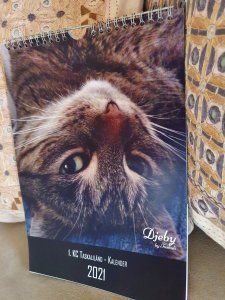 20201222_125651.jpg 20201222_125651.jpg