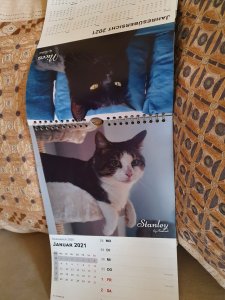 20201222_125715.jpg 20201222_125715.jpg