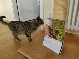 IMG_20201222_141050.jpg IMG_20201222_141050.jpg