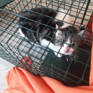 8FCB56B6-E1AD-4B6A-B28D-0F4766CB7D3C.jpeg 8FCB56B6-E1AD-4B6A-B28D-0F4766CB7D3C.jpeg