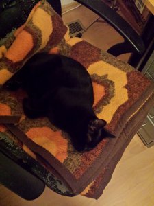 20201230_190250.jpg 20201230_190250.jpg