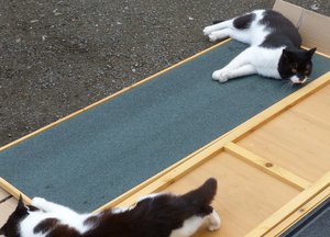 Liegeprobe zu zweit.jpg