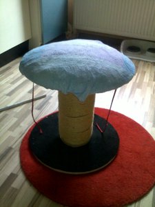 Kratzbäumchen Kü.jpg