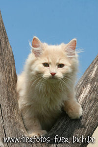 Harley-Patricia 8.jpg