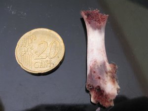 IMG_2435 (Small).JPG