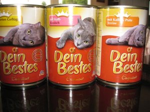 IMG_2428 (Small).JPG