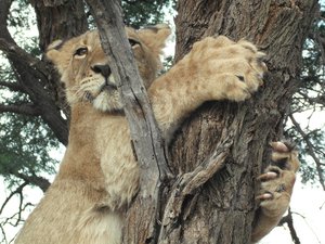 Harnas 1st day 112.jpg